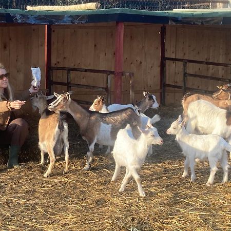 La Villa De I Casali Del Troscio カパルビオ エクステリア 写真