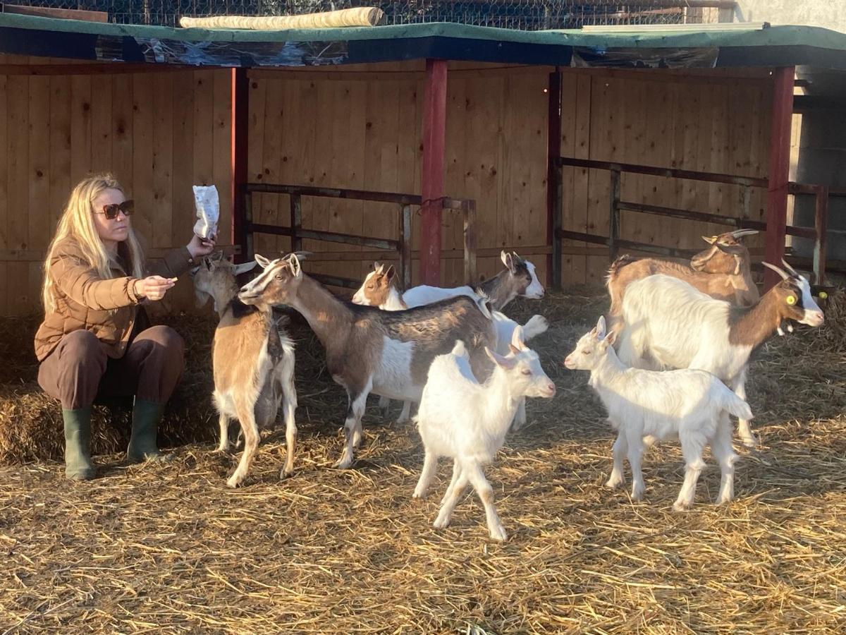 La Villa De I Casali Del Troscio カパルビオ エクステリア 写真